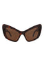 20355 - Havana Havana Brown
