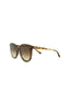 20355 - Havana Havana Brown