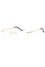 C01 - Shiny Gold/Tortoise / Clear Lens