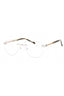 C02 - Shiny Silver/Gold / Clear Lens