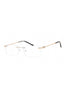 C02 - Shiny Argent/Gold / Clear Lens