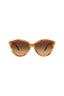 20355 - Havana Havana Brown