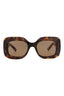 20355 - Havana Havana Brown