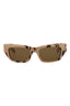 20355 - Havana Havana Brown
