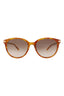 20355 - Havana Havana Brown