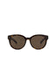20355 - Havana Havana Brown
