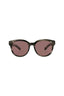 20355 - Havana Havana Brown