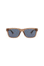 21209 - Brown Brown Blue