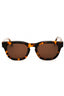 6064 - Havana / Brown