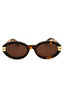 6064 - Havana Brown / Brown