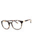 05AW - SHINY HAVANA /clear demo lens