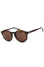 567373 - Shiny Dark Tortoise/Dark Brown