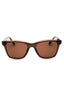 232 - TRANSPARENT BROWN/Brown