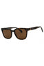 240 - TORTOISE/Brown