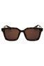 002 - HAVANA / BROWN