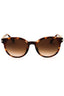 300613 - Dark Tortoise
