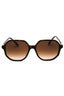 100213 - Tortoise / Brown Gradient
