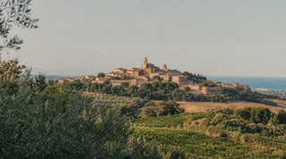 Hillside view of Italy's Marche region on the Adriatic coast, with a terracotta-roofed hill town and olive groves