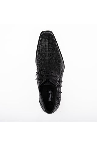 1085/2 Crocodile Derby-Dellamoda