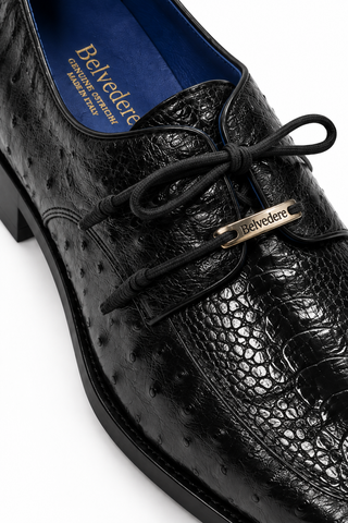Belvedere Bolero Ostrich Derby