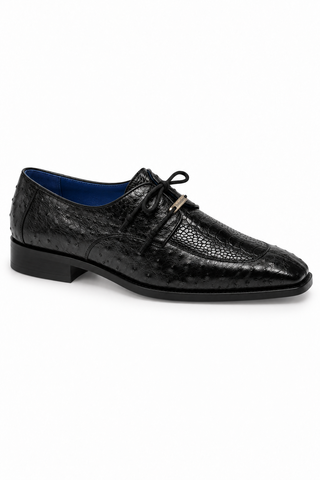 Belvedere Bolero Ostrich Derby