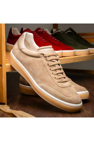 Taupe suede Zelli Italia Gotti sneaker with a white midsole and rubber outsole on a wooden display shelf.