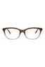 21181 - Brown Brown Transparent