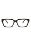 21181 - Brown Brown Transparent