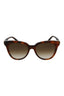 20355 - Havana Havana Brown
