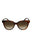 20355 - Havana Havana Brown