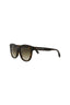 20355 - Havana Havana Brown