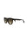 20355 - Havana Havana Brown