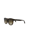 20355 - Havana Havana Brown