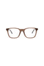 20976 - Brown Silver Transparent