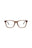 20976 - Brown Silver Transparent