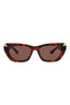 20355 - Havana Havana Brown