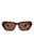 20355 - Havana Havana Brown