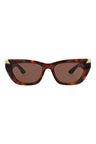 20355 - Havana Havana Brown