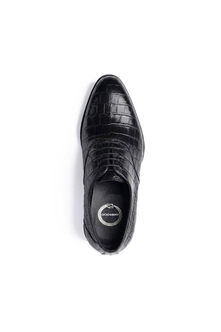 Ambrogio "Cyrus" Alligator Wholecut Oxford