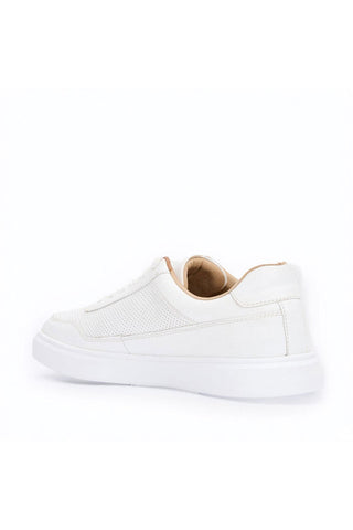 Andre Assous Andrew Leather Sneaker-AmbrogioShoes