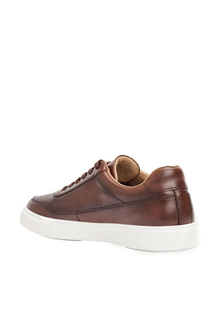 Andre Assous Andrew Leather Sneaker-AmbrogioShoes
