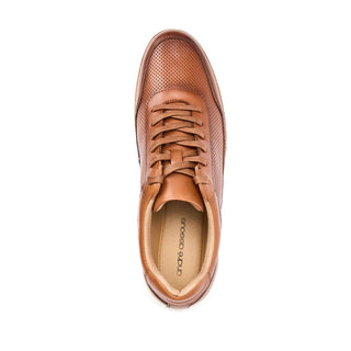 Andre Assous Andrew Leather Sneaker-AmbrogioShoes