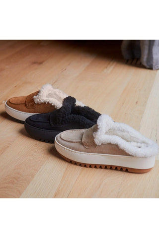 Aquatalia Amata Women’s Shoes Suede Slip-On Mule (AQW1048)