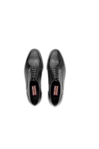 Artioli Ascanio Leather Oxford (ART1189)