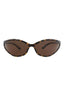 20355 - Havana Havana Brown
