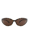 20355 - Havana Havana Brown