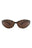 20355 - Havana Havana Brown