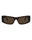 20355 - Havana Havana Brown