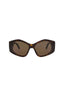 20355 - Havana Havana Brown