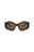 20355 - Havana Havana Brown